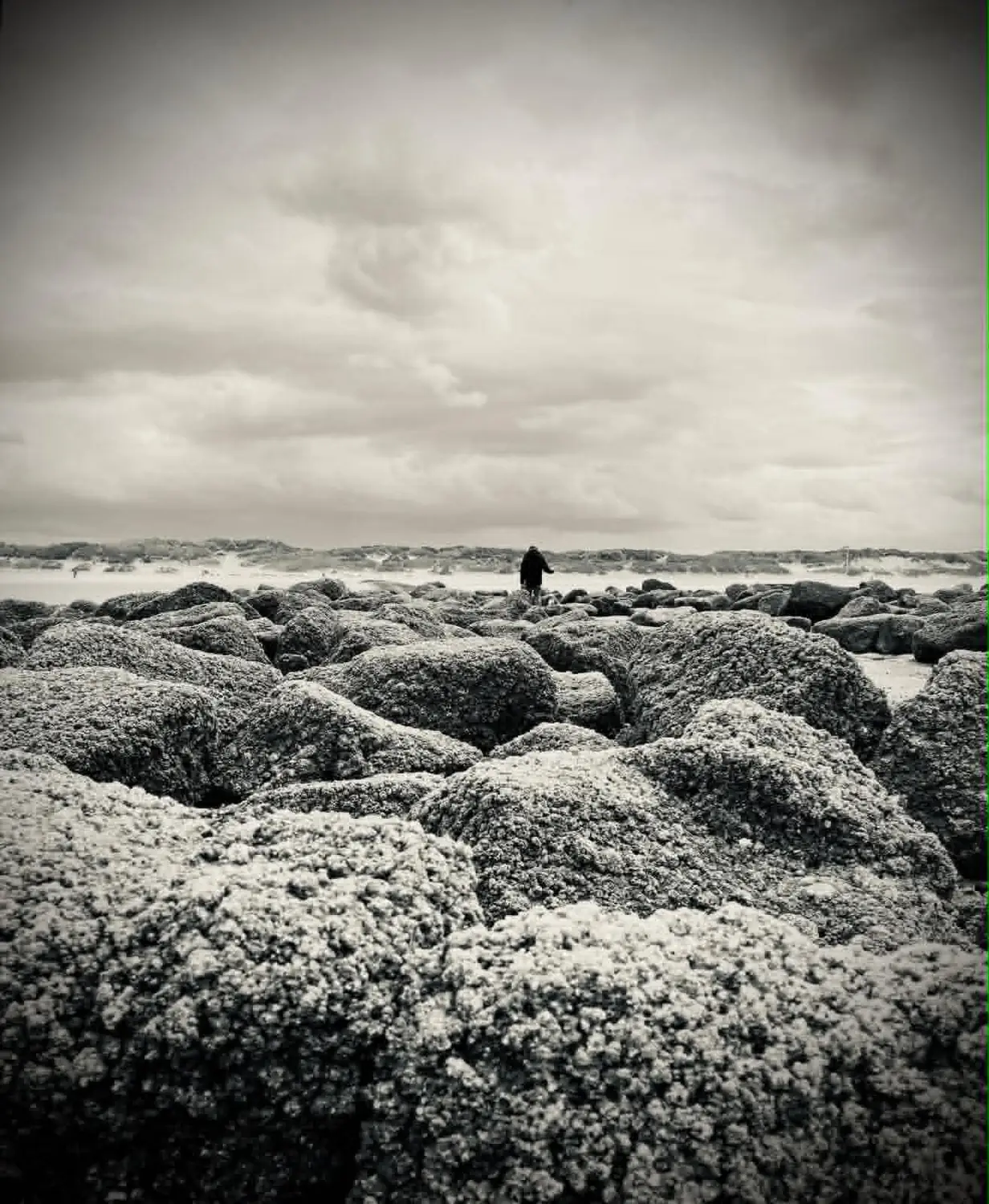 Photographie d’Angélique